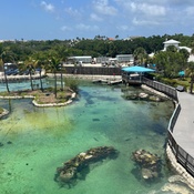 Photo submitted by Sandy