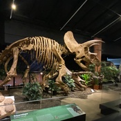 Photo submitted by Michelle