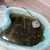 Photo submitted by Johnny