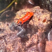 Photo submitted by Priscilla