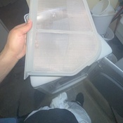 Photo submitted by Michael