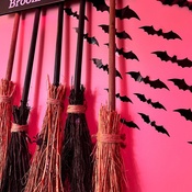 Photo submitted by Virginia