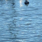 Photo submitted by Jacqueline