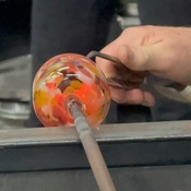 Photo submitted by Kate