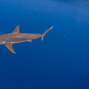 Photo submitted by Courtney