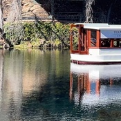 Photo submitted by FelinaG