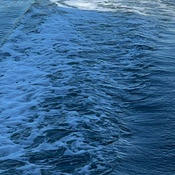 Photo submitted by Kris