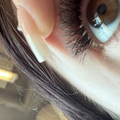 Photo submitted by sofia