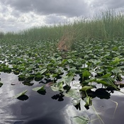 Photo submitted by Steven