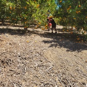 Photo submitted by Brian