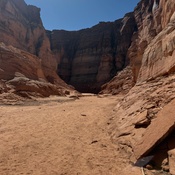 Photo submitted by Guest