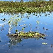 Photo submitted by Nana