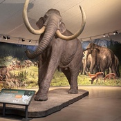 Photo submitted by Barb