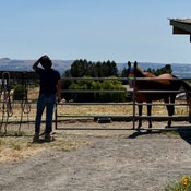 Photo submitted by Guest