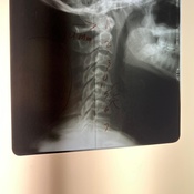 Photo submitted by Dolly