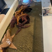 Photo submitted by Tunisia