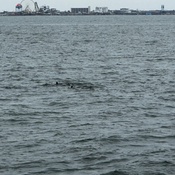 Photo submitted by Michelle