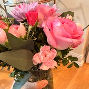 Photo submitted by Annie