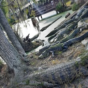 Photo submitted by dawn