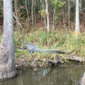 Photo submitted by Ashley