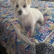 Photo submitted by olga