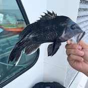 Photo submitted by Chris