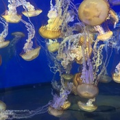 Photo submitted by Guest