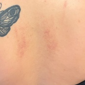 Photo submitted by Guest