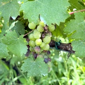 Photo submitted by Evette