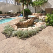 Photo submitted by Nichole