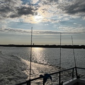 Photo submitted by Angel