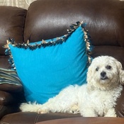 Photo submitted by Bobby