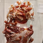 Photo submitted by Stephanie