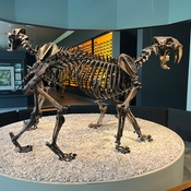 Photo submitted by Barbara