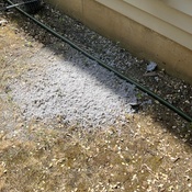 Photo submitted by Ngozi