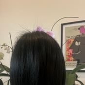 Photo submitted by Chiraphorn