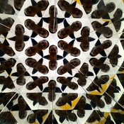 Photo submitted by thomasine