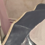 Photo submitted by karla