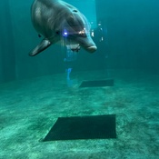 Photo submitted by justina