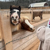 Photo submitted by Tracie