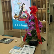 Photo submitted by Nancy