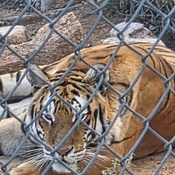 Photo submitted by James