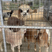 Photo submitted by TRACI