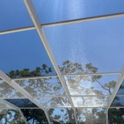 Photo submitted by Guest