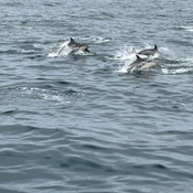 Photo submitted by Guest