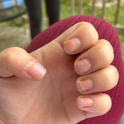 Photo submitted by Lindsay