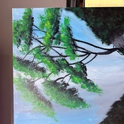 Photo submitted by Tye