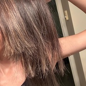 Photo submitted by julie