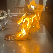 Photo submitted by Paula