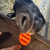 Photo submitted by Vania